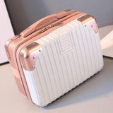 Klassinen Vanity Case