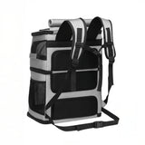 Kantolaukku kahdelle kissalle