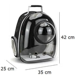 Kissareppu hublot-ikkunalla