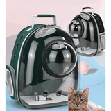 Kissareppu hublot-ikkunalla