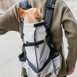 Koiran kuljetusreppu