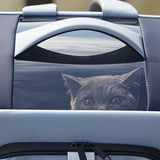 Laajennettava kissan reppu Oletusarvo Otsikko