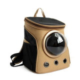 Trendikäs kissankuljetuslaukku Kulta