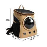 Trendikäs kissankuljetuslaukku Kulta